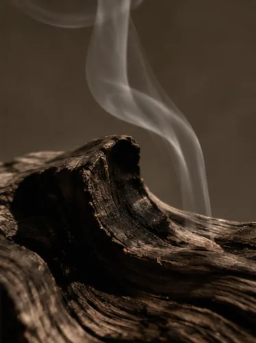 Aromatic wood and smoke